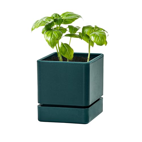 D'vine Dev 4 Inch Herb Planter Pot, Plastic Planter with Drainage Holes and Saucer, Modern Decorative Gardening Pot for Indoor Plants, Flowers, Herbs, Succulents, White, Set of 3, 76-Y-A-3