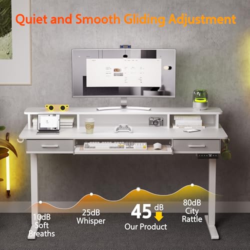Electric Standing Desk with 2 Drawers, Height Adjustable for Home Office W495