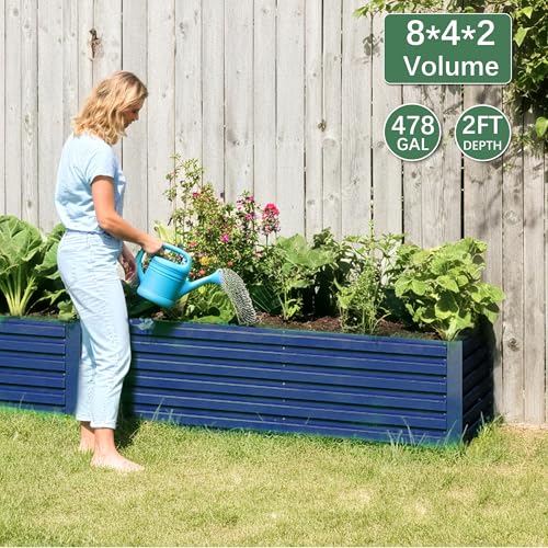 Galvanized Raised Garden Bed 8x4x2ft, Large Metal Planter Box for Outdoor Vegetables, Flowers & Herbs D2106