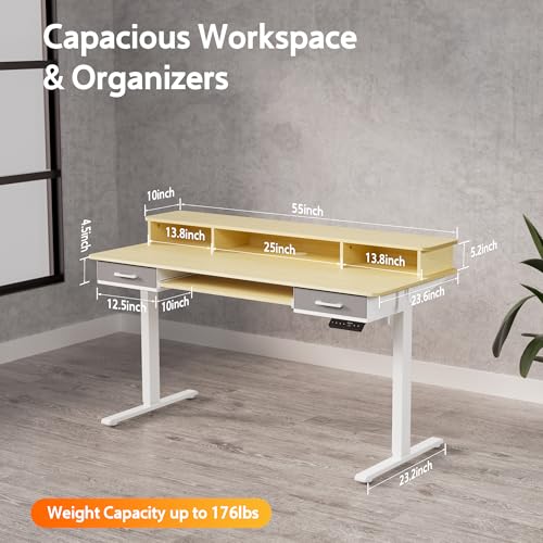 Electric Standing Desk with 2 Drawers, Height Adjustable for Home Office W495