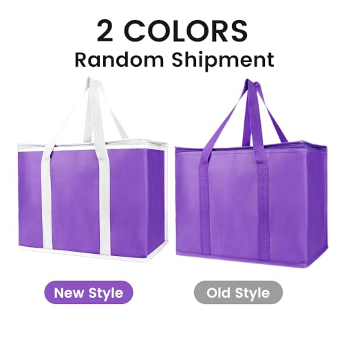 Insulated Food Delivery Bag Hot Cold Meal Carrier F1699