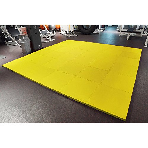 Interlocking EVA Foam Mats for Wrestling, MMA & Gymnastics F52987