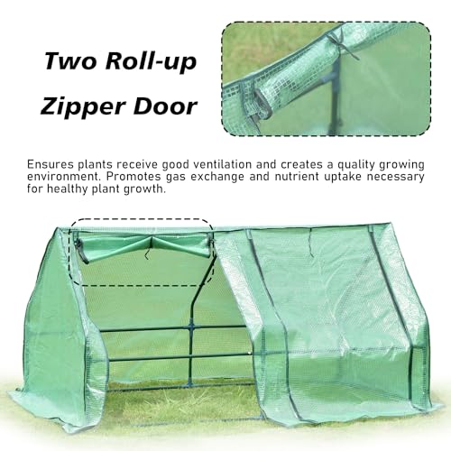 6 ft. x 3 ft. Mini Greenhouse with 2 Zipper Doors, UV Protected Z6284