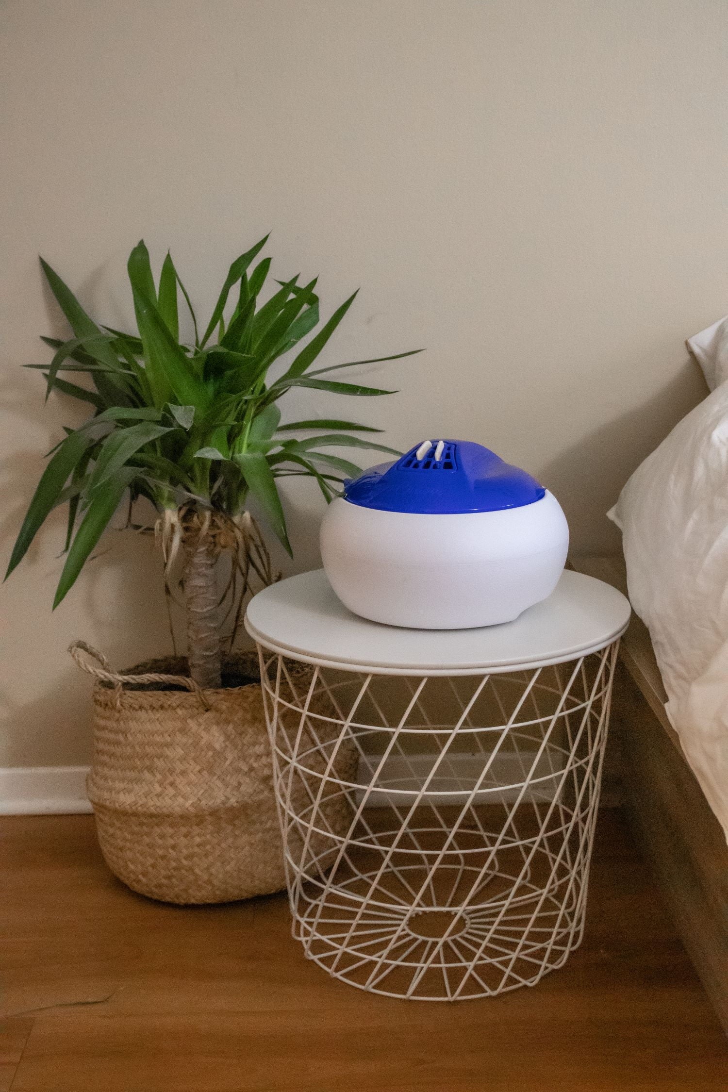 Warm Steam Vaporizer - Blue T772730