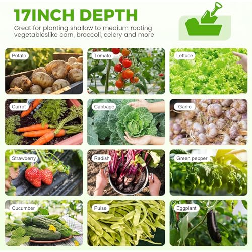 Galvanized Raised Garden Bed Kit 4x2x1.5ft Oval Metal Planter Box for Vegetables Outdoor V57489