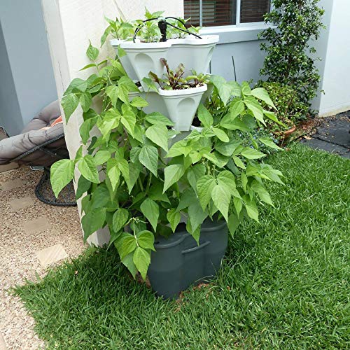 Automatic Self Watering Vertical Tower Garden System for Indoor or Outdoor Use S44423