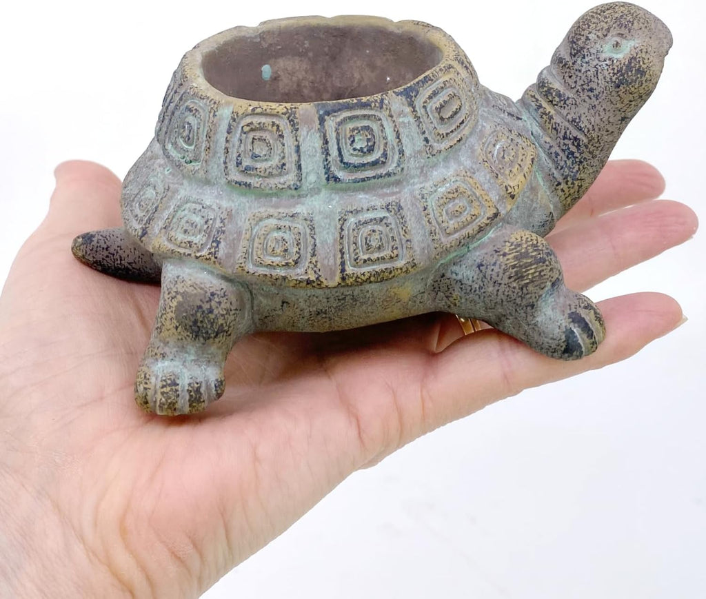 Small Cement Turtle Planter for Succulents C2896