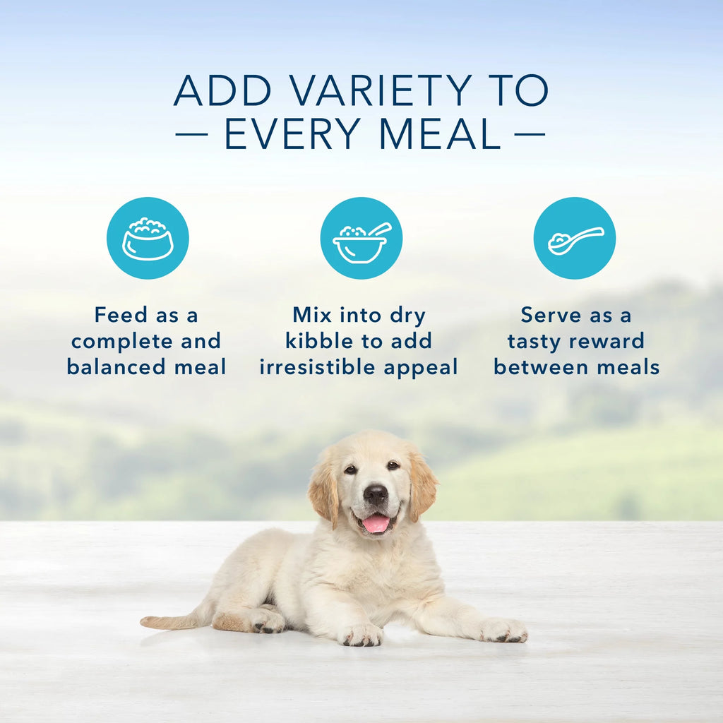 Natural Puppy Wet Dog Food, Chicken, 12.5-oz Can (Pack of 12) X32010