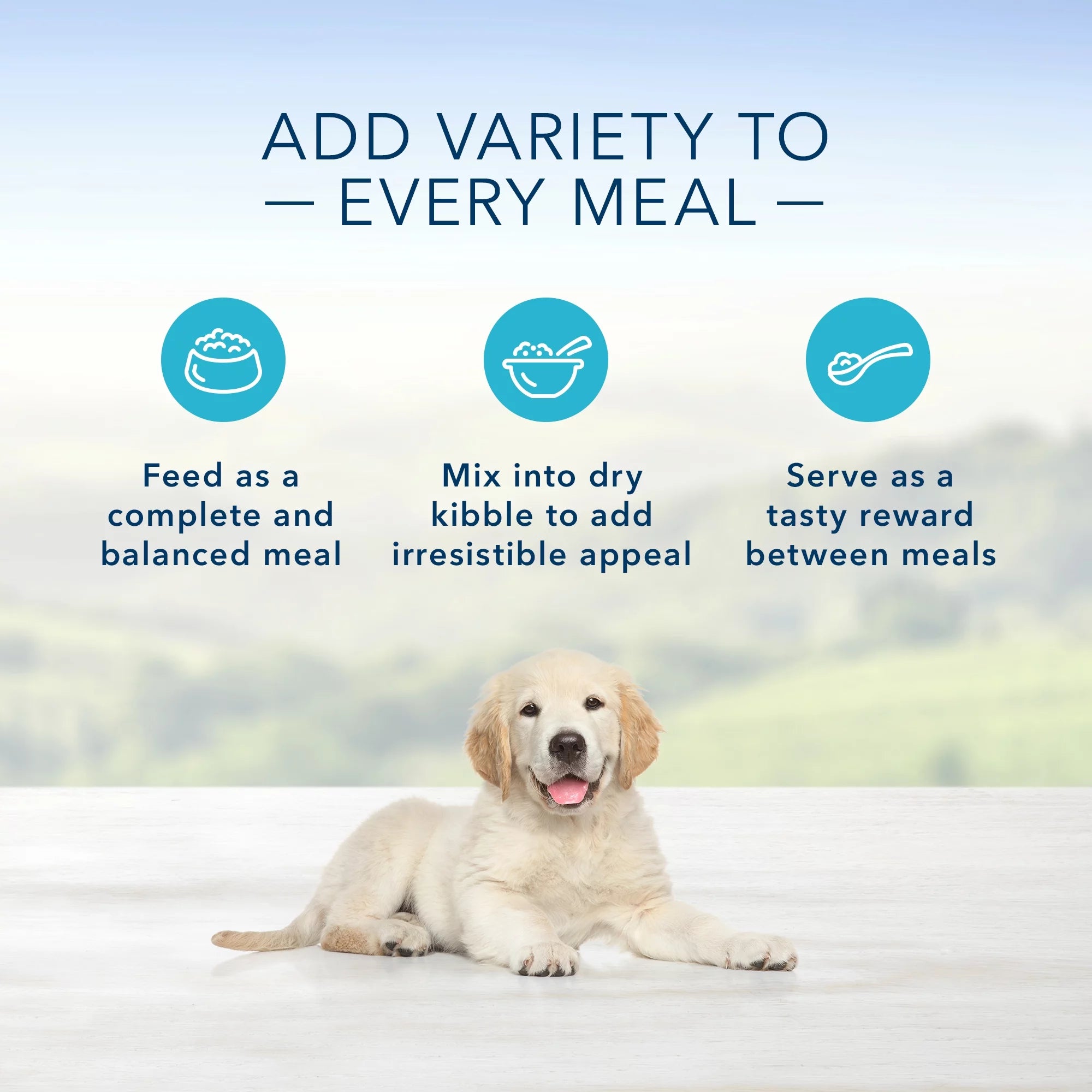 Natural Puppy Wet Dog Food, Chicken, 12.5-oz Can (Pack of 12) X32010