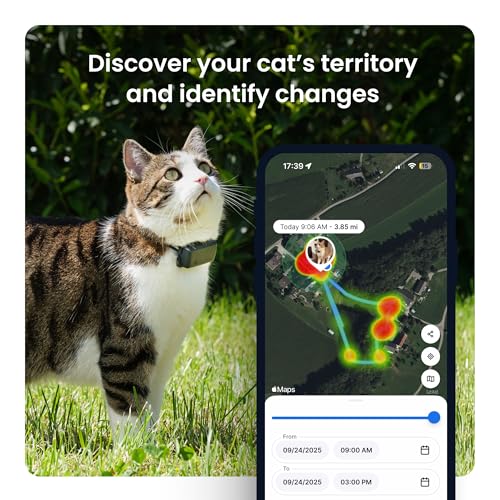 Cat GPS Tracker with Real-Time Location and Activity Monitoring T30192