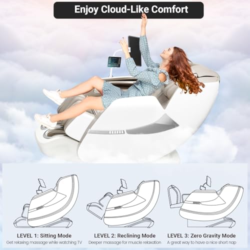 Zero Gravity SL-Track Shiatsu Massage Recliner Chair with Heat S61546