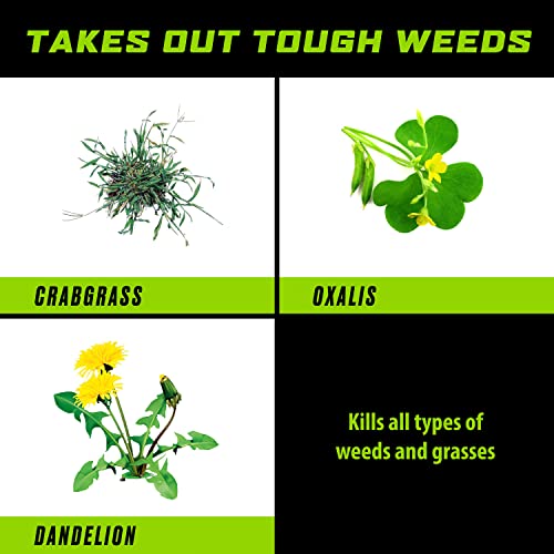 Weed and Grass Killer Concentrate for Landscape Beds, Patios, 32 oz Q66049