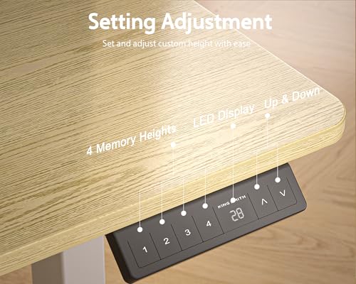 Electric Standing Desk with 2 Drawers, Height Adjustable for Home Office W495