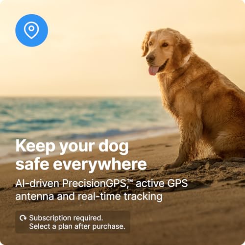 GPS Wireless Dog Fence & Training Collar with Tracker, Waterproof L61253