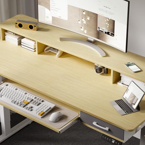 Electric Standing Desk with 2 Drawers, Height Adjustable for Home Office W495