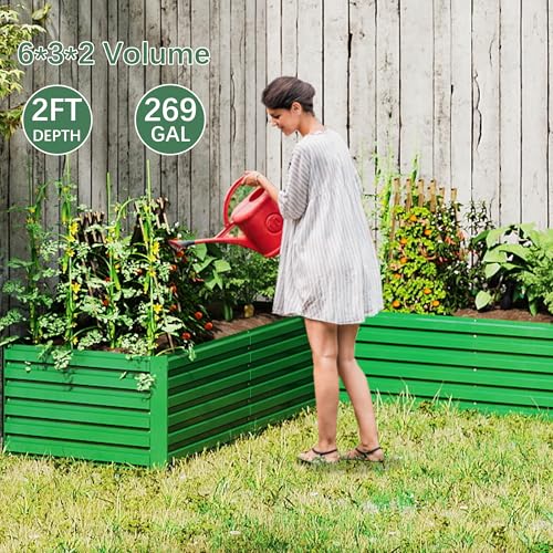 Galvanized Raised Garden Bed 8x4x2ft, Large Metal Planter Box for Outdoor Vegetables, Flowers & Herbs D2106