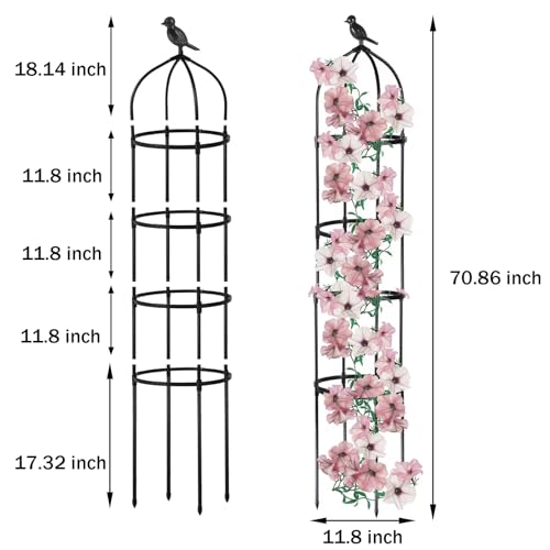 Round Trellis for Climbing Plants, Rustproof, 6ft T4962