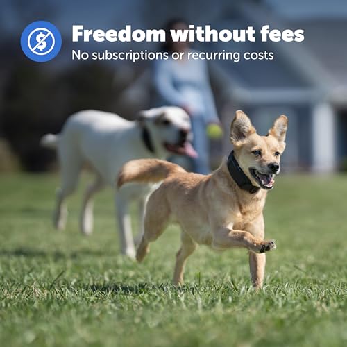 GPS Dog Fence for Yards 3/4 Acres or Larger with Wireless Collar P3787