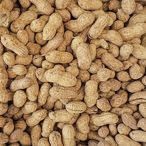 Virginia in Shell Animal Peanuts for Wildlife, 25 lb R19136