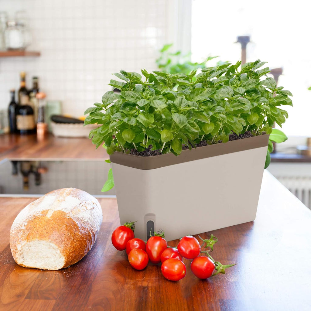 Window Herb Planter Box, Self-Watering, Set of 3 W9930