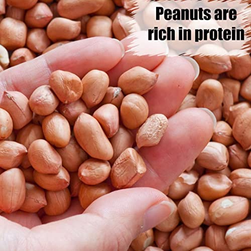 Wildlife Shelled Peanuts, 10 lbs for Birds and Squirrels C82678