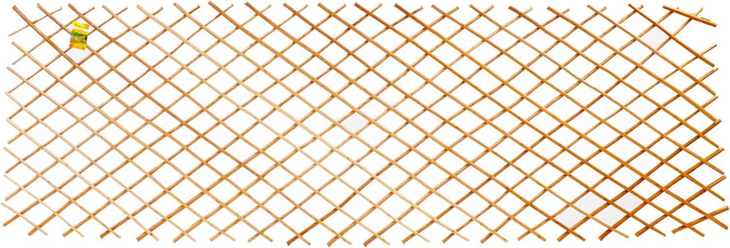 Expandable Willow Wood Trellis for Climbing Plants J17760