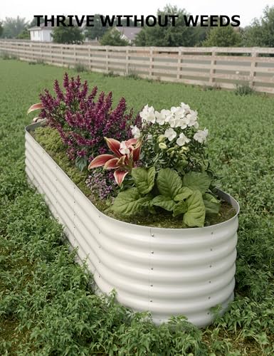 Galvanized Raised Garden Bed for Vegetables, Fruits and Flowers V33720