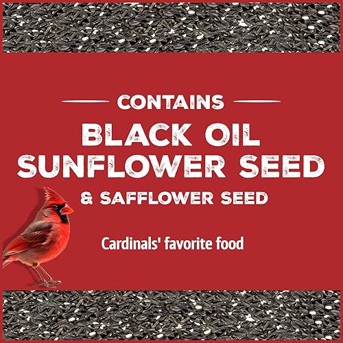 Wild Bird Seed for Outside Feeders, High-Protein, No-Hull, No-Waste, 15-lb Bag Q46704