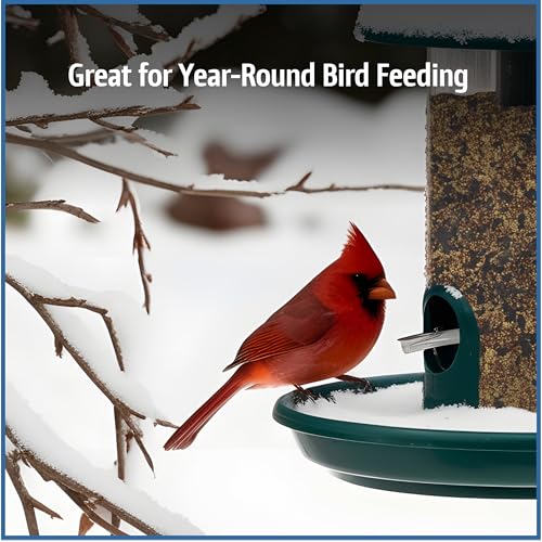 Wild Bird Seed for Outside Feeders, High-Protein, No-Hull, No-Waste, 15-lb Bag Q46704