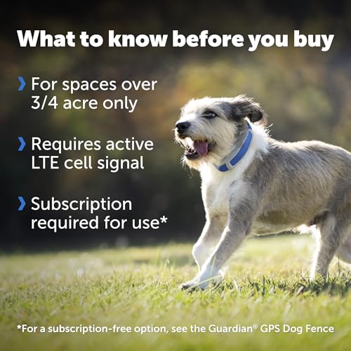GPS Dog Fence Collar with App Tracking, Waterproof Rechargeable T221556