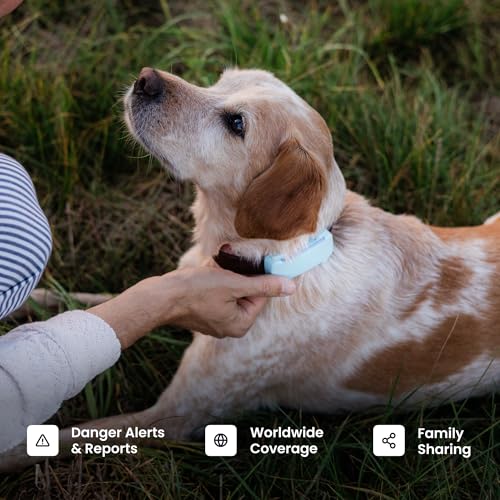 Dog GPS Tracker with Virtual Fence and Vital Signs Monitoring R1119