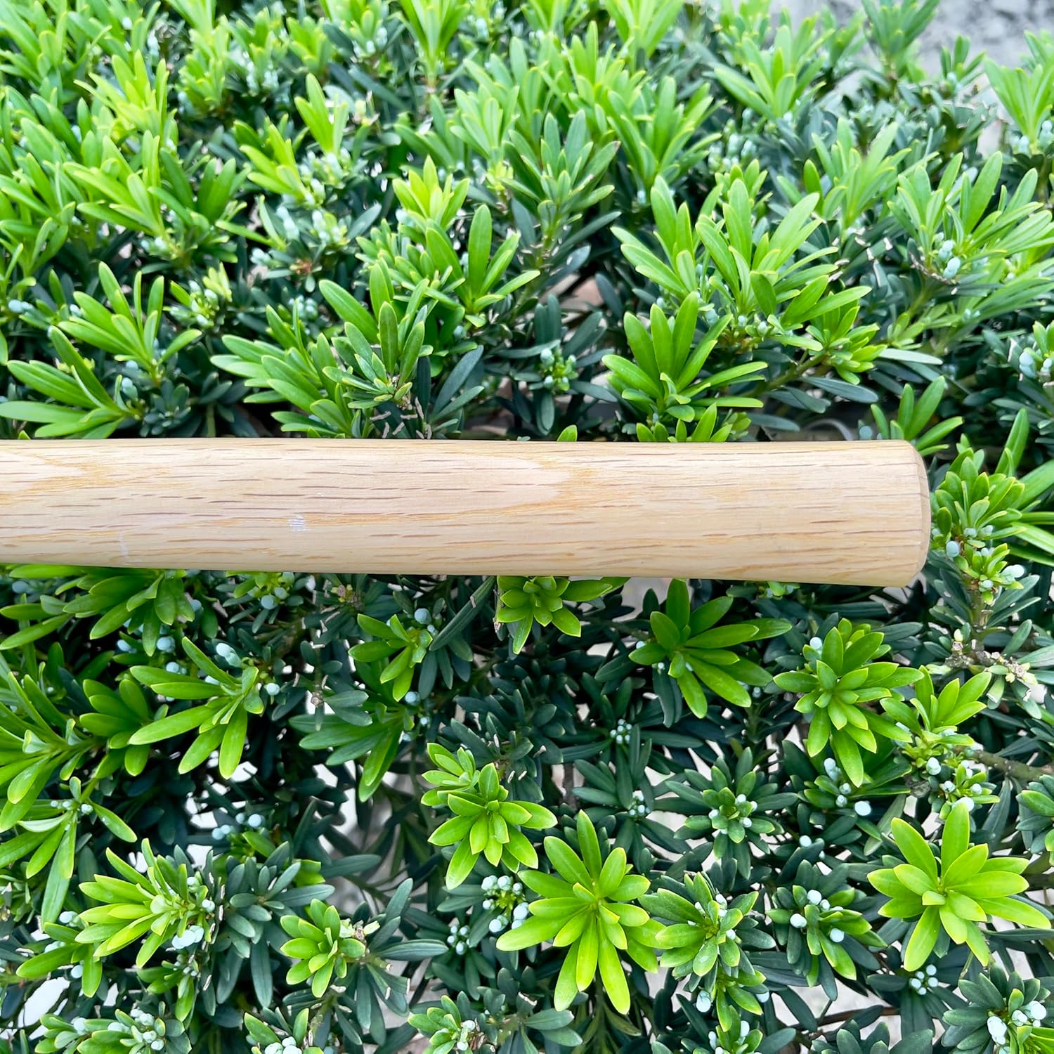 Japanese Carbon Steel Wide Hoe with Oak Handle for Digging and Weeding L17641