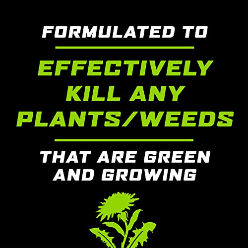 Weed and Grass Killer Concentrate for Landscape Beds, Patios, 32 oz Q66049