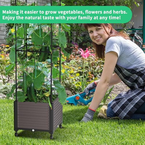 Raised Garden Bed with Trellis & Wheels for Climbing Plants M243496