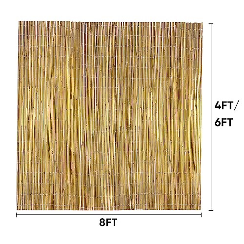 Natural Bamboo Fence Roll 6ft x 8ft, Outdoor Privacy Screen for Garden Q294
