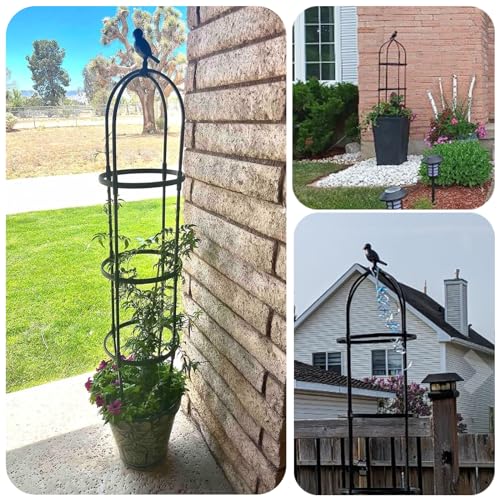 Round Trellis for Climbing Plants, Rustproof, 6ft T4962