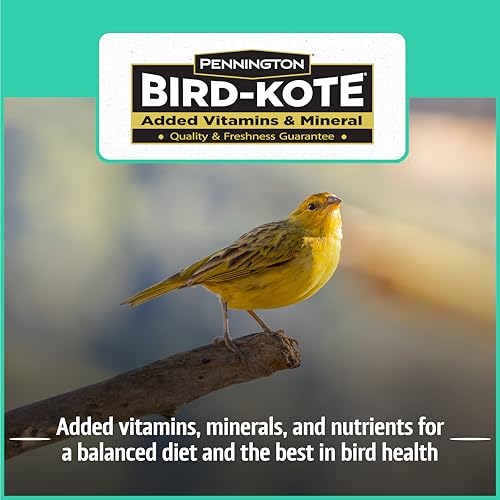 Wild Bird Seed for Outside Feeders, High-Protein, No-Hull, No-Waste, 15-lb Bag Q46704