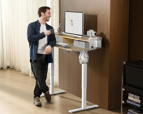 Electric Standing Desk with 2 Drawers, Height Adjustable for Home Office W495