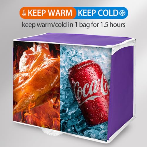 Insulated Food Delivery Bag Hot Cold Meal Carrier F1699