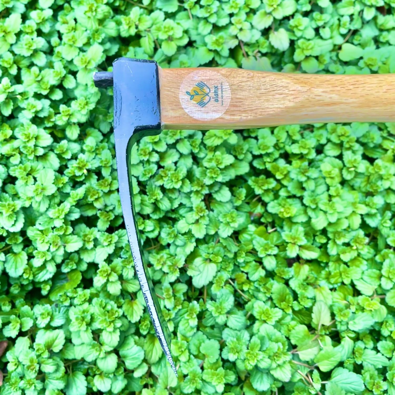 Japanese Carbon Steel Wide Hoe with Oak Handle for Digging and Weeding L17641