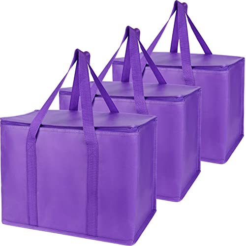 Insulated Food Delivery Bag Hot Cold Meal Carrier F1699