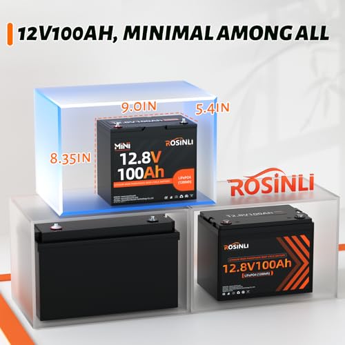 12V 100Ah Group 24 LiFePO4 Battery with 100A BMS, Deep Cycle for RV, Marine, Solar M985