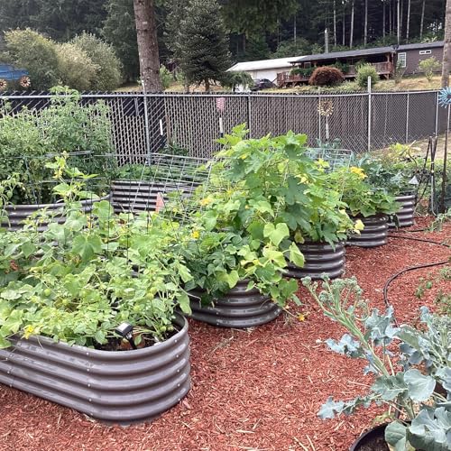 Galvanized Raised Garden Bed Oval Metal Planter Box for Vegetables Flowers U63502