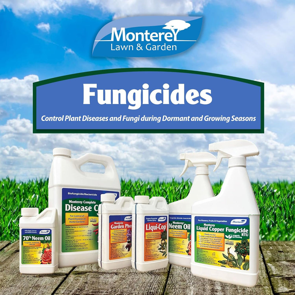 Liquid Copper Fungicide RTU for Flowers, Fruits & Vegetables - 32 oz Q5717