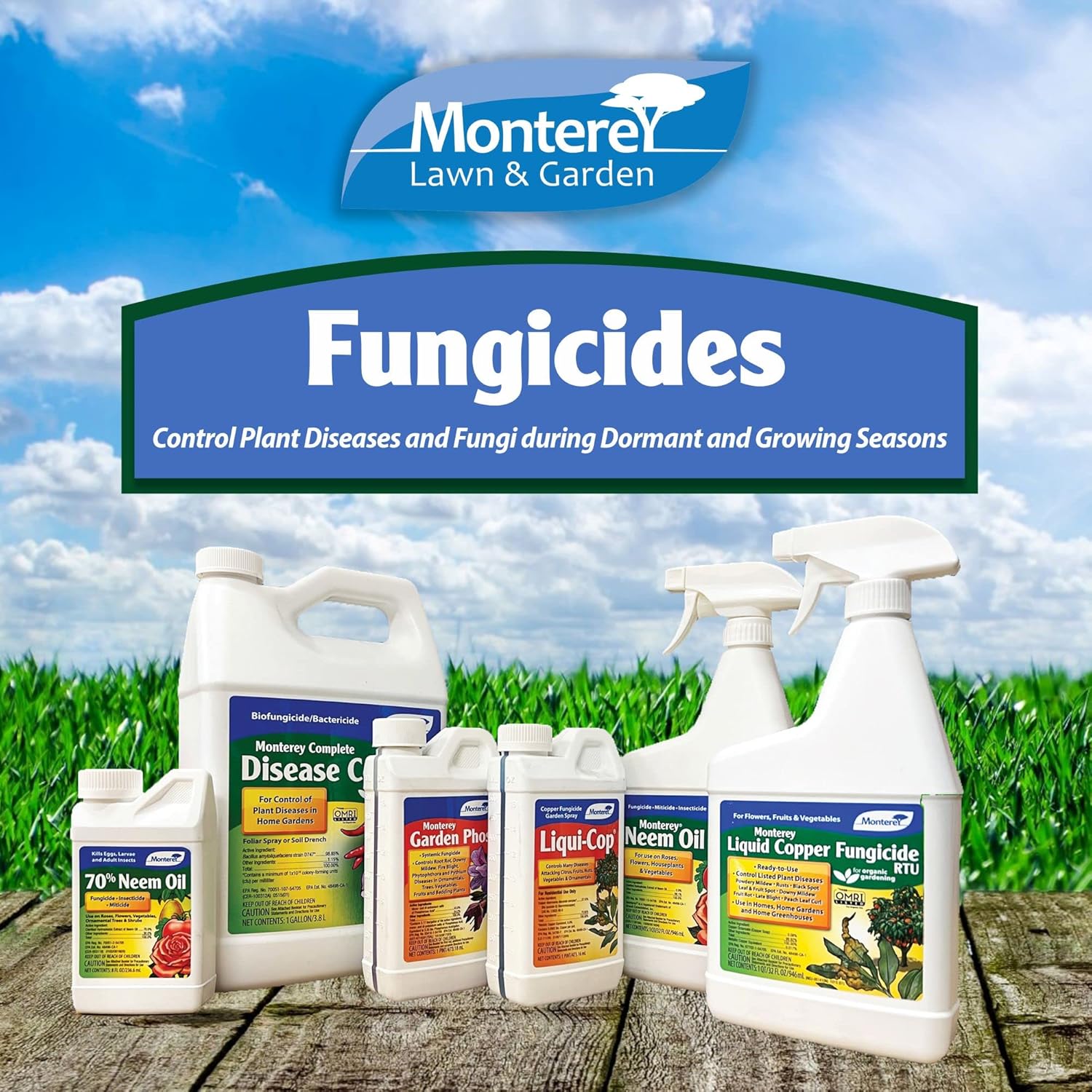 Liquid Copper Fungicide RTU for Flowers, Fruits & Vegetables - 32 oz Q5717