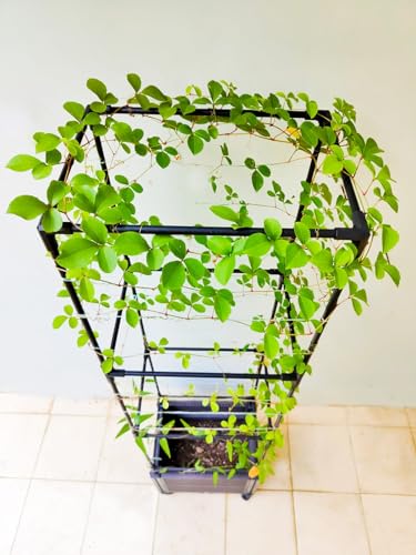Trellis Planter Box with Caster, 2 Pack, Large Outdoor Garden Planter for Climbing Plants and Vegetables V478381