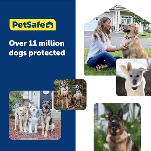 GPS Dog Fence Collar with App Tracking, Waterproof Rechargeable T221556