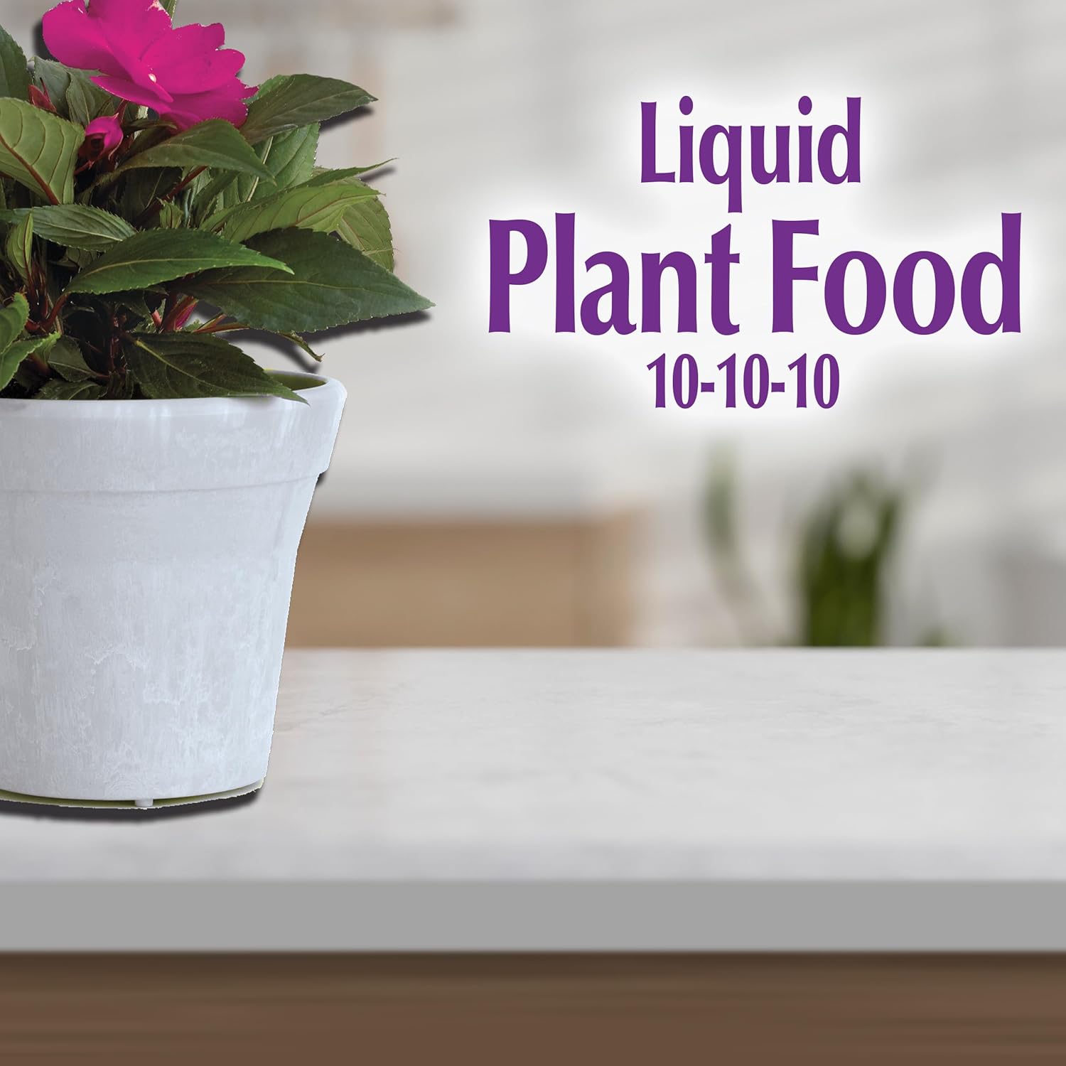 Houseplant Liquid Plant Food 10-10-10, 8 oz Concentrated Fertilizer R715