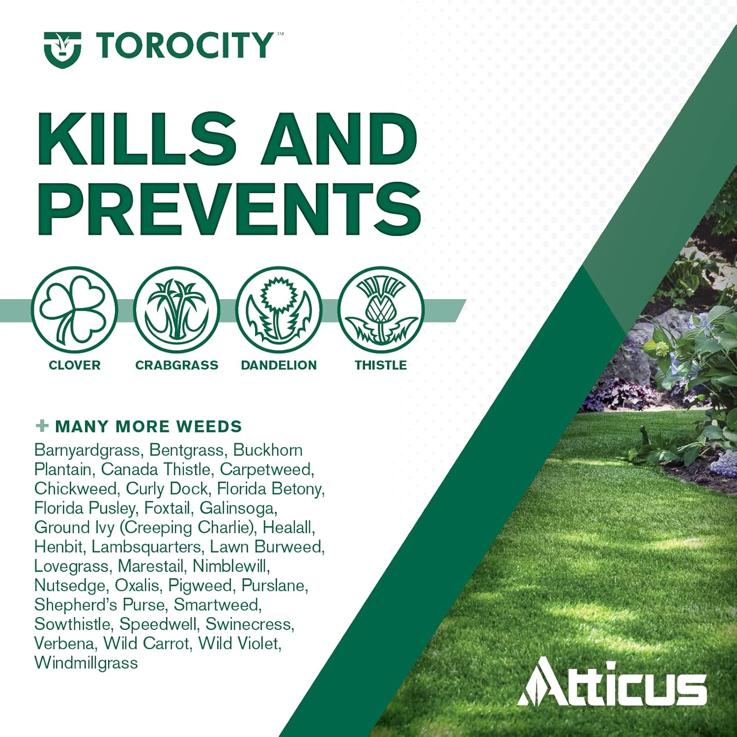 Mesotrione Concentrate Selective Weed Killer for Lawns F58515