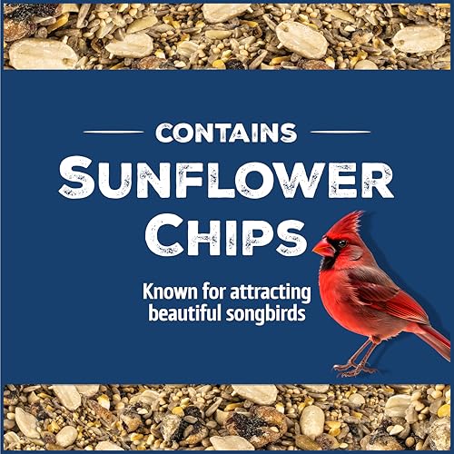 Wild Bird Seed for Outside Feeders, High-Protein, No-Hull, No-Waste, 15-lb Bag Q46704